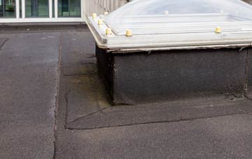 disadvantages of Pype Hayes flat roofs
