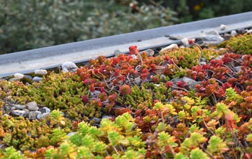 the cost of Pype Hayes green roof installation