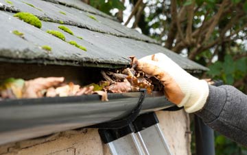 gutter cleaning Pype Hayes, West Midlands